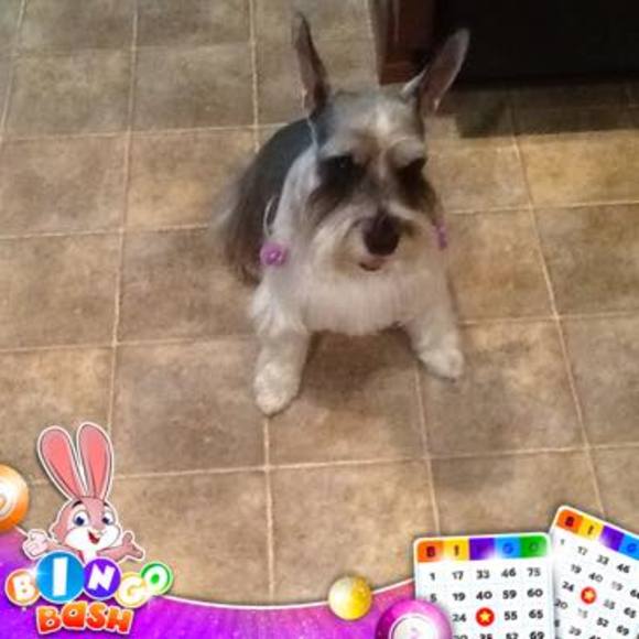 Meet your Posher, Doris - Picture 1 of 1